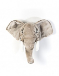 Wild & Soft - Fil George... 2