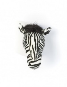 Wild & Soft - Zebra Daniel... 2