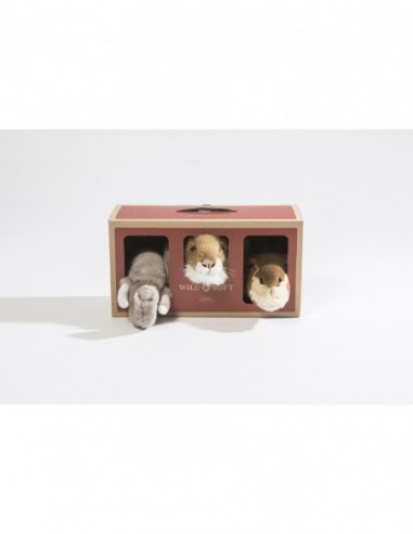 Wild & Soft – Mini Safari Duvar... Wild & Soft – Mini Safari Duvar...