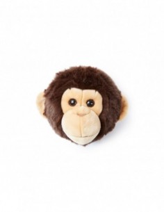 Wild & Soft - Maymun Joe...