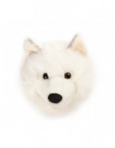 Wild & Soft - Kurt Lucy...