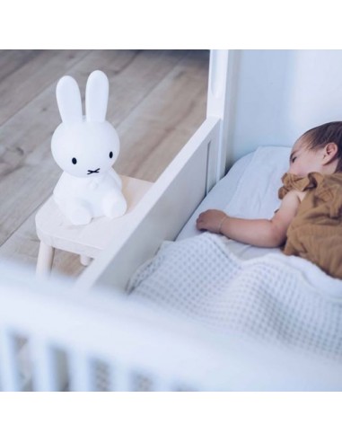 Mr. Maria - First Light Miffy...