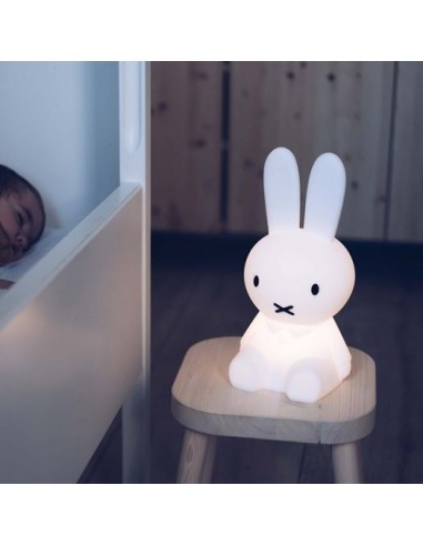 Mr. Maria - First Light Miffy...