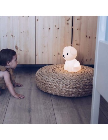 Mr. Maria - First Light Snuffy... Mr. Maria - First Light Snuffy...