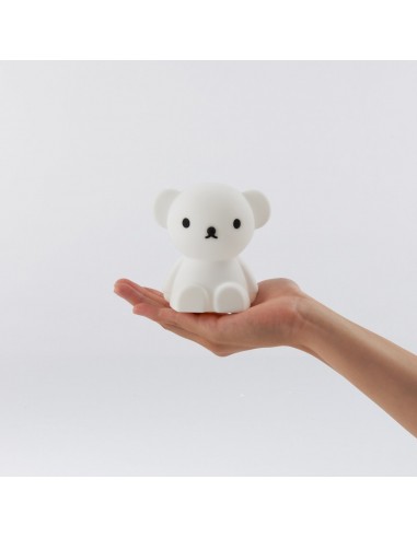 Mr. Maria - Mini Boris Aydınlatma