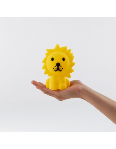 Mr. Maria - Mini Lion Aydınlatma Mr. Maria - Mini Lion Aydınlatma