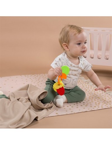 Lullalucca - Battaniye Bej