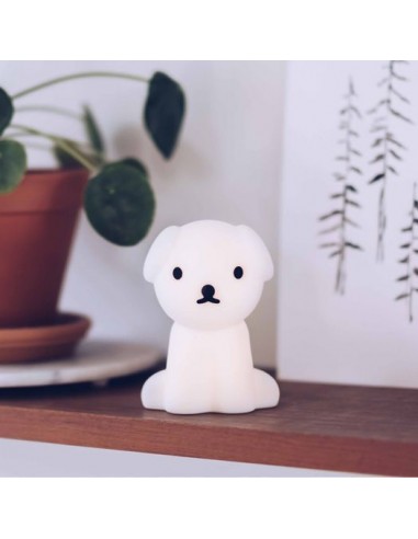 Mr. Maria - Mini Snuffy Aydınlatma