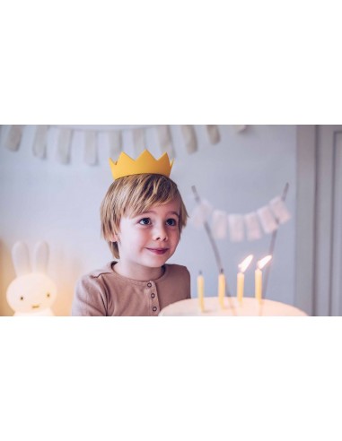 Mr. Maria - Miffy Taç Crown