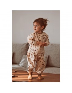 Auntie Me - Biscotti... 2