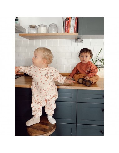 Auntie Me - Biscotti Irregula Shapes...