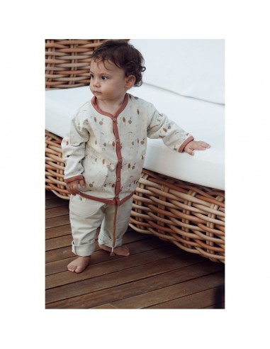 Auntie Me - Organik Celadon Yuvarlak...