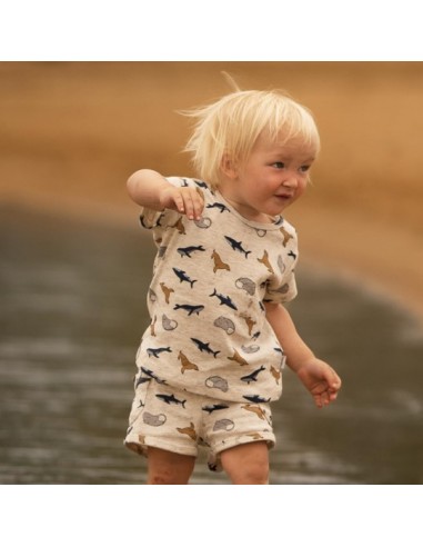 Antebies - Denizde Yaşam Tshirt