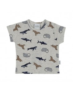 Antebies - Denizde Yaşam...