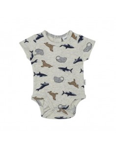 Antebies - Denizde Yaşam Body