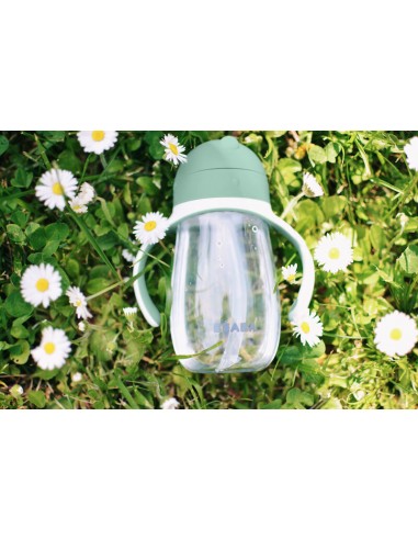 Beaba - Şeffaf Pipetli Suluk 300ml... Beaba - Şeffaf Pipetli Suluk 300ml...