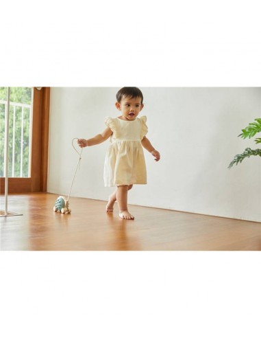 Plan Toys - Mavi Çekme Kirpi Plan Toys - Mavi Çekme Kirpi