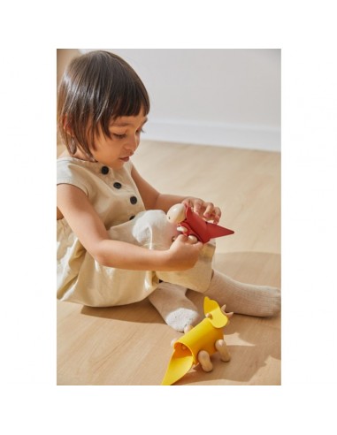 Plan Toys - Diy Tyrannosaurus Plan Toys - Diy Tyrannosaurus
