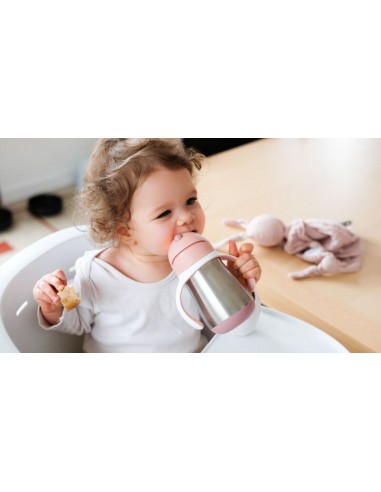 Beaba - Çelik Pipetli Suluk 250ml Old...