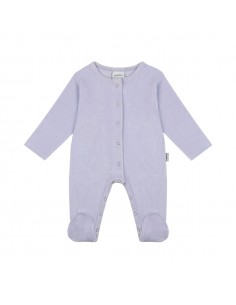 Antebies - Lila Kadife...