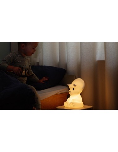 Mr. Maria - First Light Mira Aydınlatma