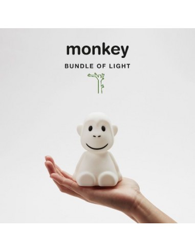 Mr. Maria - Mini Monkey Aydınlatma