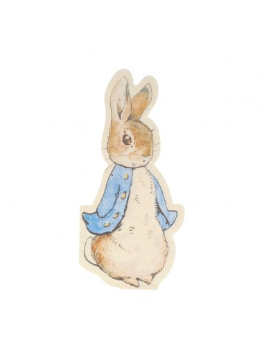 Meri Meri - Peter Rabbit Peçete 20'li