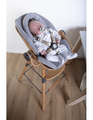 Childhome - Evolu Yenidoğan Minder Gri