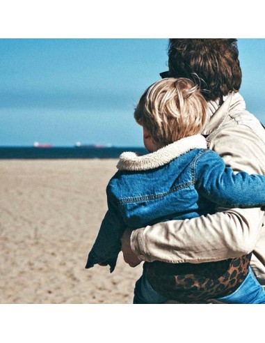 Wildride - Brown Leopard Carrier...