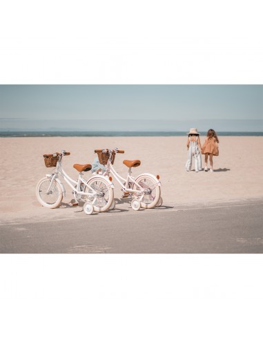 Banwood - Classic Vintage Bisiklet... Banwood - Classic Vintage Bisiklet...