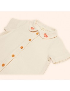 GUU The Bambino - Kelebek... 2