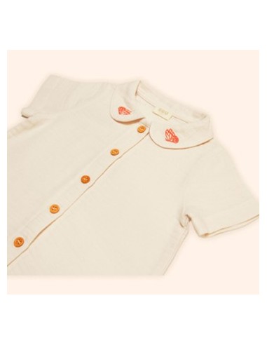 GUU The Bambino - Kelebek Detaylı...