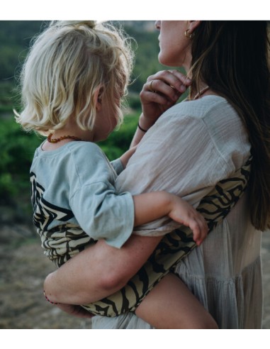 Wildride - Zebra Desenli Çocuk Taşıyıcı