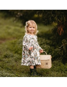 Antebies - Yağmur Ormanı... 2