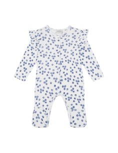 Antebies - Yabanmersini...