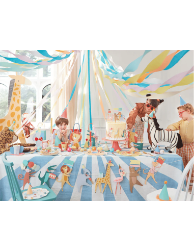 Meri Meri - Hayvan Geçit Töreni...