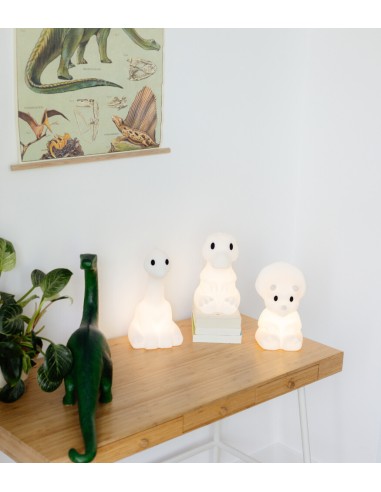 Mr. Maria - First Light Rena Aydınlatma