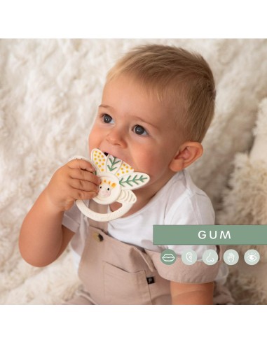 Sophie La Girafe - Mille Faulle Diş...