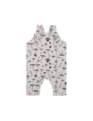 Antebies - Sonbahar Mantarları...