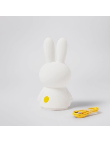 Mr. Maria - Miffy Shines Aydınlatma