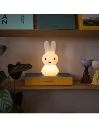 Mr. Maria - Miffy Shines Aydınlatma