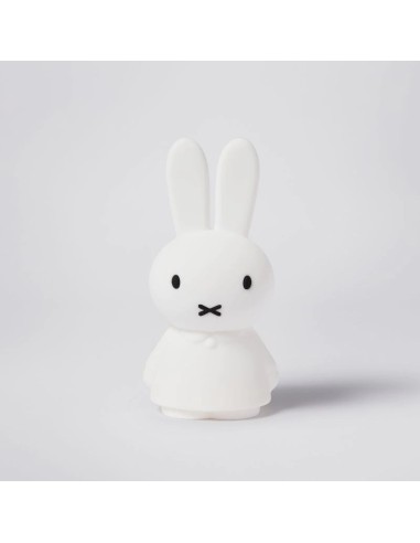 Mr. Maria - Miffy Shines Aydınlatma
