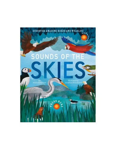 Little Tiger - Sounds of the Skies