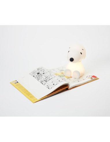 Mr. Maria - First Snoopy Aydınlatma