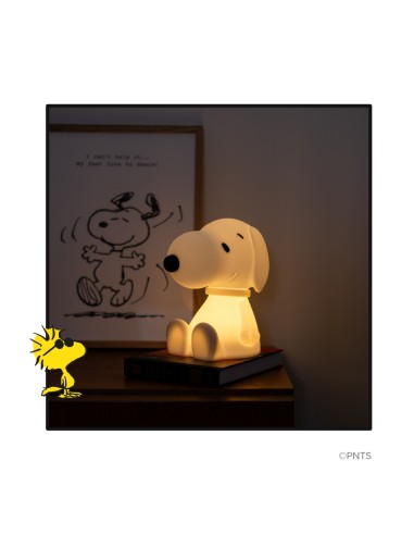 Mr. Maria - First Snoopy Aydınlatma