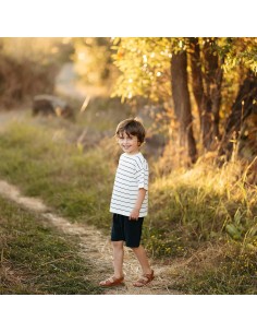 Antebies - Lacivert Çizgili... 2