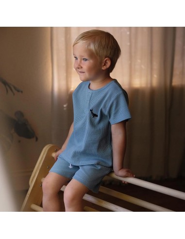 Antebies - Balina Nakış Mavi Waffle...