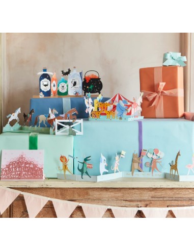 Meri Meri - Hayvanlar Geçit Töreni...