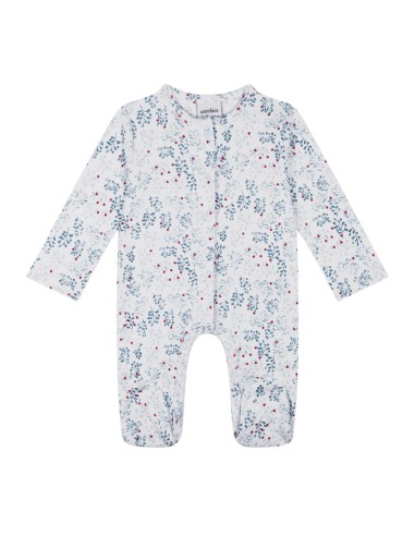 Antebies - Kış Bahçesi Tulum Antebies - Kış Bahçesi Tulum