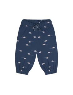 Antebies - Kutup Ayısı...